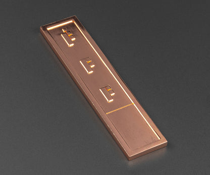Mint Proof Long Credit Chip